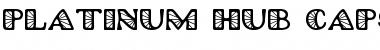 Download Platinum Hub Caps Spoked Regular Font Title Preview