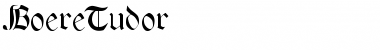 Download BoereTudor Regular Font Title Preview