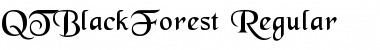 Download QTBlackForest Regular Font