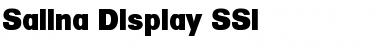 Download Salina Display SSi Regular Font Title Preview