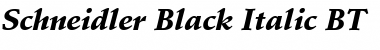 Download Schneidler Blk BT Font