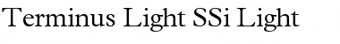 Download Terminus Light SSi Light Font Title Preview