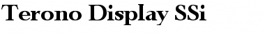 Download Terono Display SSi Regular Font Title Preview