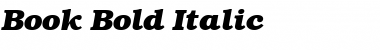Download Book-Bold Italic Font Title Preview