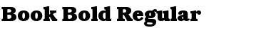 Download Book-Bold Regular Font Title Preview