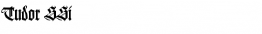 Download Tudor SSi Regular Font Title Preview