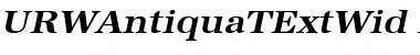 Download URWAntiquaTExtWid Bold Oblique Font