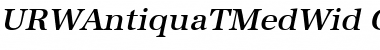 Download URWAntiquaTMedWid Oblique Font