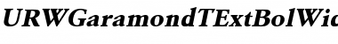 Download URWGaramondTExtBolWid Oblique Font