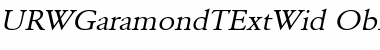 Download URWGaramondTExtWid Font