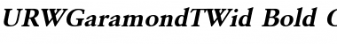 Download URWGaramondTWid Font