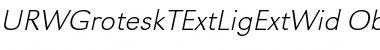 Download URWGroteskTExtLigExtWid Oblique Font