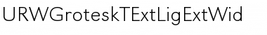 Download URWGroteskTExtLigExtWid Regular Font