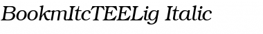 Download BookmItcTEELig Italic Font Title Preview