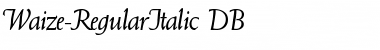 Download Waize DB RegularItalic Font