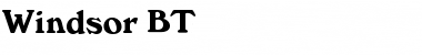 Download Windsor Roman Font Title Preview