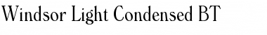 Download Windsor Light Font Title Preview