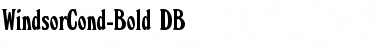 Download WindsorCond DB Bold Font Title Preview