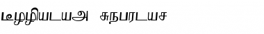 Download Boopalam Regular Font Title Preview