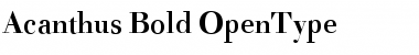 Download Acanthus Bold Font Title Preview