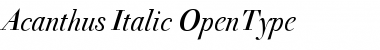 Download Acanthus Italic Font Title Preview