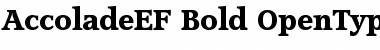 Download AccoladeEF Bold Font Title Preview