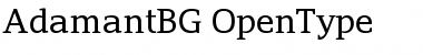 Download Adamant BG Regular Font Title Preview