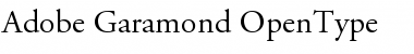 Download Adobe Garamond Regular Font Title Preview