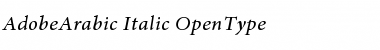 Download Adobe Arabic Italic Font Title Preview