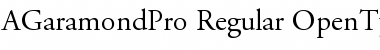 Download Adobe Garamond Pro Regular Font Title Preview
