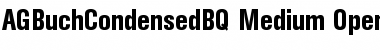 Download AG Buch Condensed BQ Regular Font Title Preview