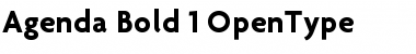 Download Agenda Bold Font Title Preview