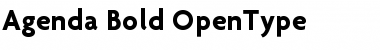 Download Agenda Bold Font Title Preview