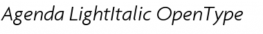 Download Agenda LightItalic Font Title Preview
