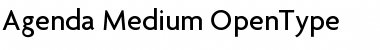 Download Agenda Medium Font Title Preview