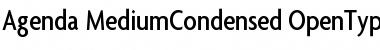Download Agenda MediumCondensed Font Title Preview