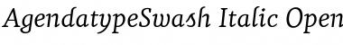 Download Agendatype Swash Italic Font Title Preview