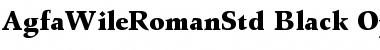 Download Agfa Wile Roman Std Black Font Title Preview