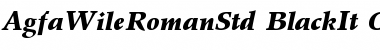 Download Agfa Wile Roman Std Black It Font Title Preview