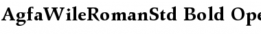 Download Agfa Wile Roman Std Bold Font Title Preview