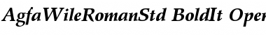 Download Agfa Wile Roman Std Bold It Font Title Preview