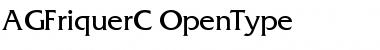Download AGFriquerC Regular Font Title Preview