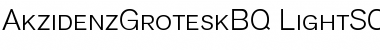 Download Akzidenz-Grotesk BQ Light Small Caps & OldStyle Figures Font Title Preview