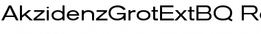 Download Akzidenz-Grotesk Extended BQ Regular Font Title Preview