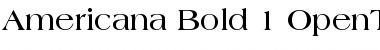 Download Americana Bold Font Title Preview