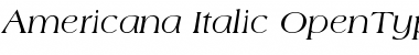 Download Americana Italic Font Title Preview