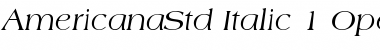 Download Americana Std Italic Font Title Preview