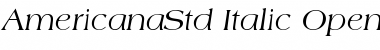 Download Americana Std Italic Font Title Preview