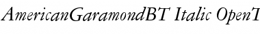 Download American Garamond Italic Font Title Preview