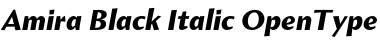Download Amira Black Italic Font Title Preview